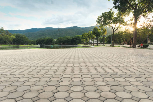 Reliable Camanche Village, CA Driveway Pavers Solutions